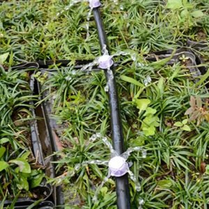 5 hole purple Irrigation Dripper