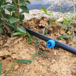 Pressure Compensating Dripper