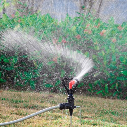 1/2" Male Plastic Butterfly Medium-Distance Irrigation Sprinkler