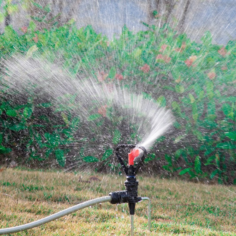 1/2" Male Plastic Butterfly Medium-Distance Irrigation Sprinkler