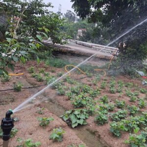 360-degree automatic rotating water bird sprayer for Agricultural garden irrigation